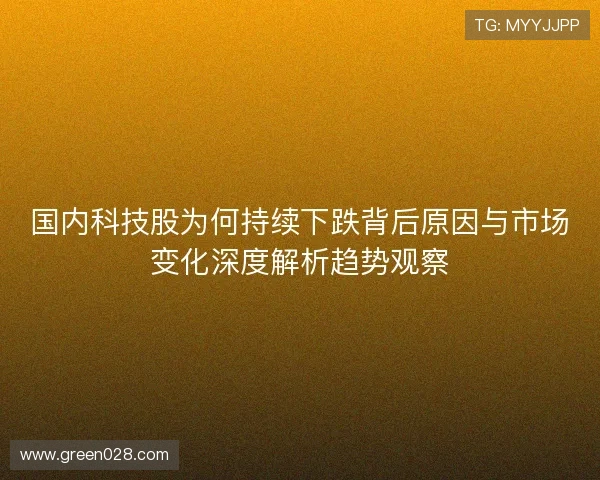国内科技股为何持续下跌背后原因与市场变化深度解析趋势观察
